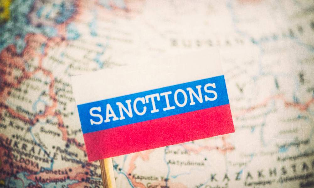 Surviving Economic Sanctions: Strategies and Realities